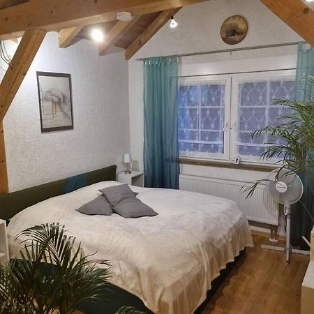 Gemuetliche Dachgeschosswohnung 埃尔福特 外观 照片