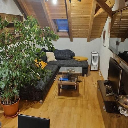 Gemuetliche Dachgeschosswohnung 埃尔福特 外观 照片