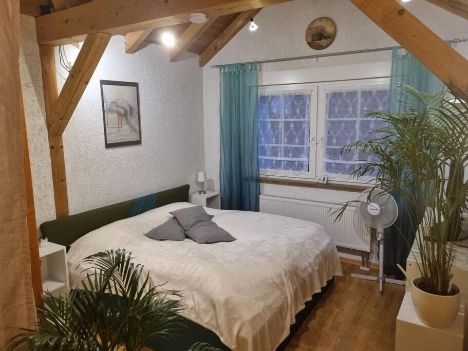 Gemuetliche Dachgeschosswohnung 埃尔福特 外观 照片