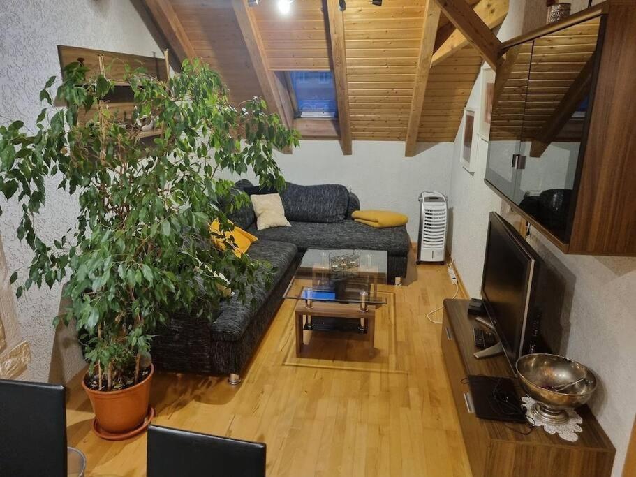 Gemuetliche Dachgeschosswohnung 埃尔福特 外观 照片