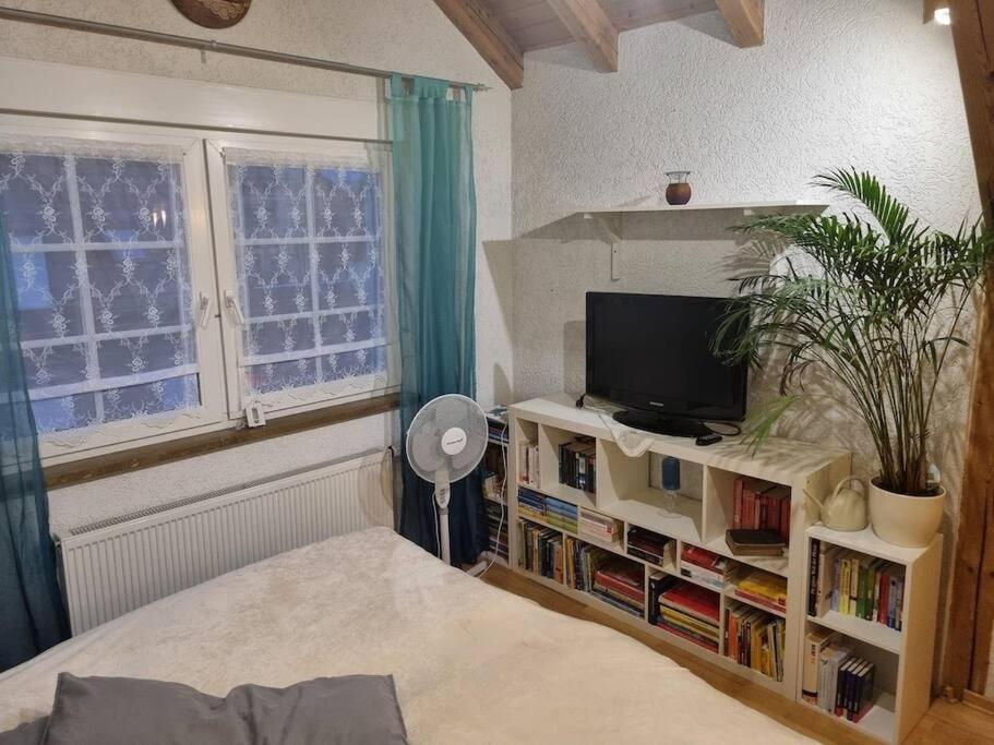 Gemuetliche Dachgeschosswohnung 埃尔福特 外观 照片